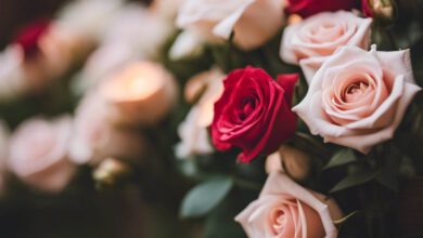geschenkideen zur rosenhochzeit